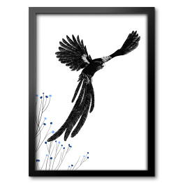 Obraz w ramie Widowbird - Wikłacz olbrzymi - ilustracja