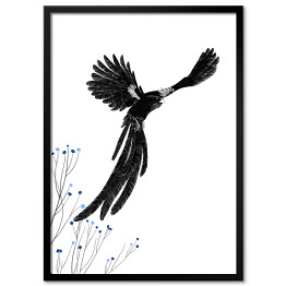 Plakat w ramie Widowbird - Wikłacz olbrzymi - ilustracja