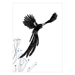 Plakat samoprzylepny Widowbird - Wikłacz olbrzymi - ilustracja