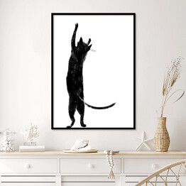 Plakat w ramie Czarny kot z długim ogonem stojący na dwóch łapkach