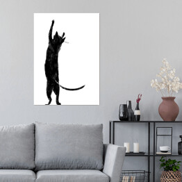 Plakat samoprzylepny Czarny kot z długim ogonem stojący na dwóch łapkach