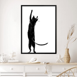 Obraz w ramie Czarny kot z długim ogonem stojący na dwóch łapkach