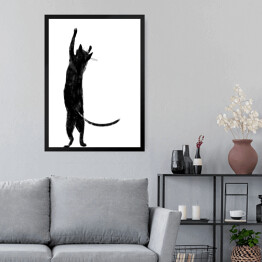 Obraz w ramie Czarny kot z długim ogonem stojący na dwóch łapkach