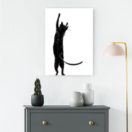 Obraz klasyczny Czarny kot z długim ogonem stojący na dwóch łapkach