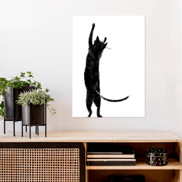 Plakat Czarny kot z długim ogonem stojący na dwóch łapkach