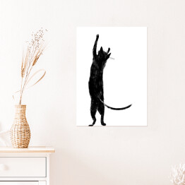 Plakat Czarny kot z długim ogonem stojący na dwóch łapkach