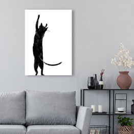 Obraz na płótnie Czarny kot z długim ogonem stojący na dwóch łapkach