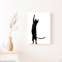 Obraz klasyczny Czarny kot z długim ogonem stojący na dwóch łapkach