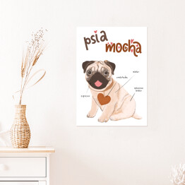 Plakat samoprzylepny Kawa z psem - psia mocha