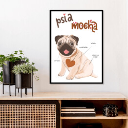 Plakat w ramie Kawa z psem - psia mocha