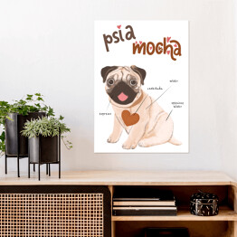 Plakat samoprzylepny Kawa z psem - psia mocha