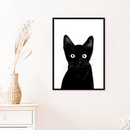 Plakat w ramie Czarny kociak o uważnym spojrzeniu