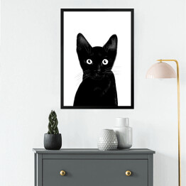 Obraz w ramie Czarny kociak o uważnym spojrzeniu