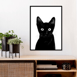 Plakat w ramie Czarny kociak o uważnym spojrzeniu