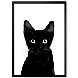 Obraz klasyczny Czarny kociak o uważnym spojrzeniu