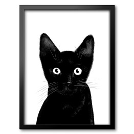 Obraz w ramie Czarny kociak o uważnym spojrzeniu