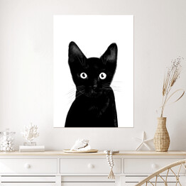 Plakat samoprzylepny Czarny kociak o uważnym spojrzeniu