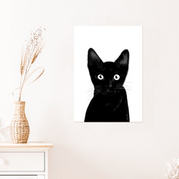 Plakat Czarny kociak o uważnym spojrzeniu