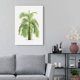 Obraz na płótnie Drzewo vintage palma reprodukcja