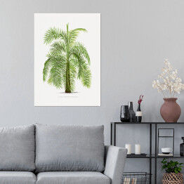 Plakat samoprzylepny Drzewo vintage palma reprodukcja