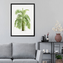 Obraz w ramie Drzewo vintage palma reprodukcja