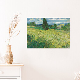 Plakat samoprzylepny Vincent van Gogh Zielone pole pszenicy z cyprysem. Reprodukcja