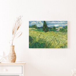 Obraz klasyczny Vincent van Gogh Zielone pole pszenicy z cyprysem. Reprodukcja