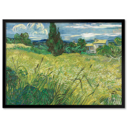 Obraz klasyczny Vincent van Gogh Zielone pole pszenicy z cyprysem. Reprodukcja