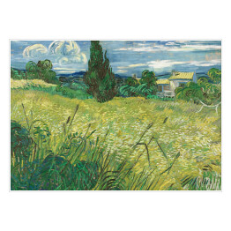 Plakat Vincent van Gogh Zielone pole pszenicy z cyprysem. Reprodukcja