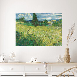 Plakat Vincent van Gogh Zielone pole pszenicy z cyprysem. Reprodukcja