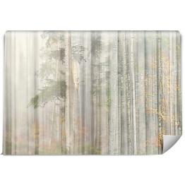Fototapeta winylowa zmywalna Fototapeta 3D las za mgłą. Widok zza firany