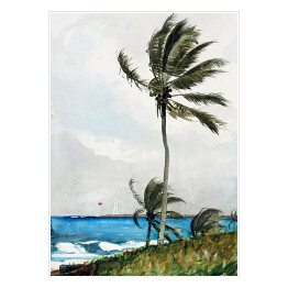 Plakat Winslow Homer Palmy Nassau Reprodukcja