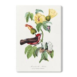 Obraz na płótnie Ptak i motyl wśród kwiatów. Paul Gervais. Reprodukcja