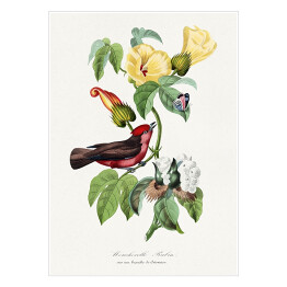 Plakat samoprzylepny Ptak i motyl wśród kwiatów. Paul Gervais. Reprodukcja