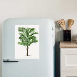Magnes dekoracyjny Drzewo palmowe vintage reprodukcja 