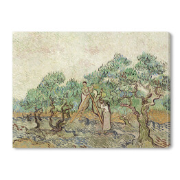 Obraz na płótnie Vincent van Gogh Sad oliwny. Reprodukcja