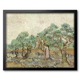 Obraz w ramie Vincent van Gogh Sad oliwny. Reprodukcja