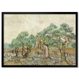 Plakat w ramie Vincent van Gogh Sad oliwny. Reprodukcja