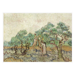 Plakat samoprzylepny Vincent van Gogh Sad oliwny. Reprodukcja