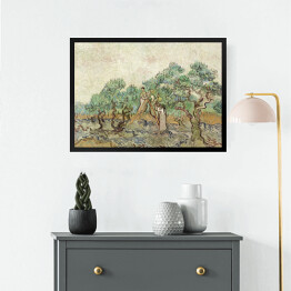 Obraz w ramie Vincent van Gogh Sad oliwny. Reprodukcja