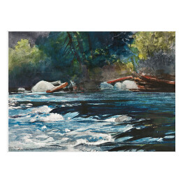 Plakat Winslow Homer The Rapids, Hudson River, Adirondacks Reprodukcja obrazu