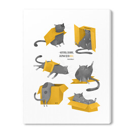 Obraz na płótnie Pudełko kartonowe i kot - ilustracja z cytatem