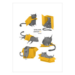 Plakat samoprzylepny Pudełko kartonowe i kot - ilustracja z cytatem