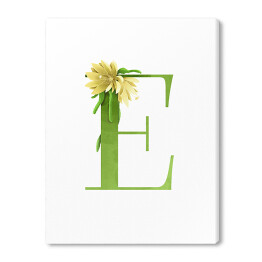 Obraz na płótnie Roślinny alfabet - litera E jak Epifyllum