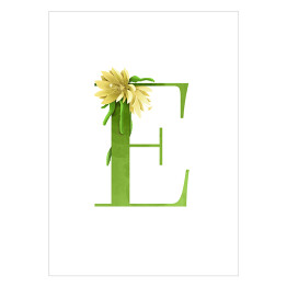 Plakat Roślinny alfabet - litera E jak Epifyllum