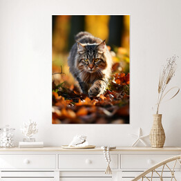 Plakat Długowłosy kot skradający się po jesiennych liściach