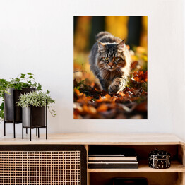 Plakat samoprzylepny Długowłosy kot skradający się po jesiennych liściach