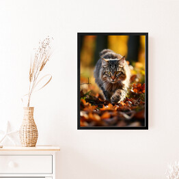 Obraz w ramie Długowłosy kot skradający się po jesiennych liściach