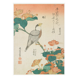 Plakat Hokusai Katsushika. Kwiaty i ptak. Reprodukcja