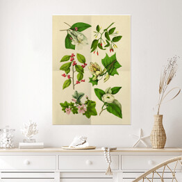 Plakat samoprzylepny Stara rycina z roślinnością